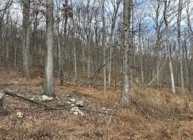 10.03 AC Dove Drive, Paw Paw, WV 25434