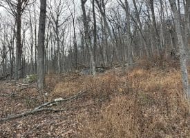 10.03 AC Dove Drive, Paw Paw, WV 25434