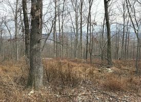 10.03 AC Dove Drive, Paw Paw, WV 25434
