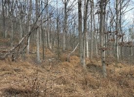 10.03 AC Dove Drive, Paw Paw, WV 25434