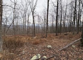 10.03 AC Dove Drive, Paw Paw, WV 25434