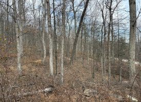 10.03 AC Dove Drive, Paw Paw, WV 25434