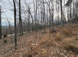 10.03 AC Dove Drive, Paw Paw, WV 25434