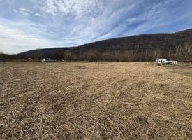 2.19 AC Potomac Valley View Lane, Springfield, WV 26763