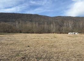 2.19 AC Potomac Valley View Lane, Springfield, WV 26763