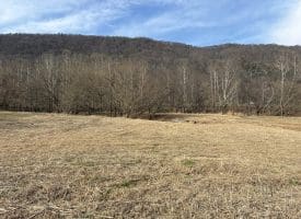 2.19 AC Potomac Valley View Lane, Springfield, WV 26763