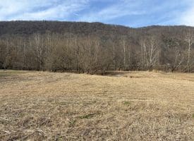 2.19 AC Potomac Valley View Lane, Springfield, WV 26763