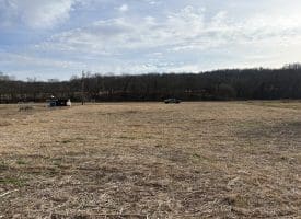 2.19 AC Potomac Valley View Lane, Springfield, WV 26763
