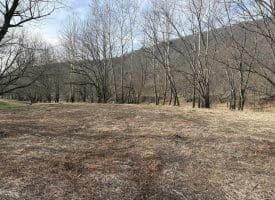 2.19 AC Potomac Valley View Lane, Springfield, WV 26763