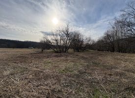 2.19 AC Potomac Valley View Lane, Springfield, WV 26763