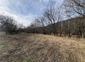 2.19 AC Potomac Valley View Lane, Springfield, WV 26763