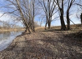 2.19 AC Potomac Valley View Lane, Springfield, WV 26763