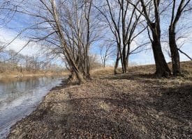 2.19 AC Potomac Valley View Lane, Springfield, WV 26763