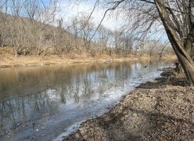 2.19 AC Potomac Valley View Lane, Springfield, WV 26763