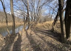 2.19 AC Potomac Valley View Lane, Springfield, WV 26763