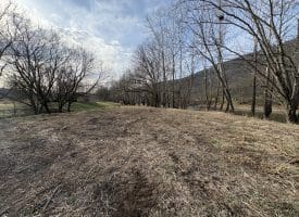 2.19 AC Potomac Valley View Lane, Springfield, WV 26763