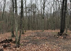 239 Bird Ridge Road, Springfield, WV 26763