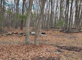 Lot 37 Sherman Drive, Augusta, WV