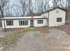 239 Bird Ridge Road, Springfield, WV 26763