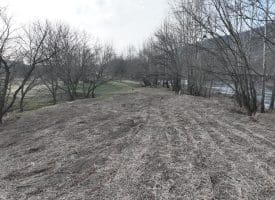 2.19 AC Potomac Valley View Lane, Springfield, WV 26763