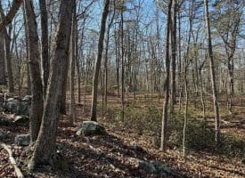 Lot 7 & 8 Hidden Ritters Valley, Capon Bridge, WV 26711