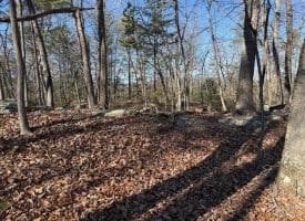 Lot 7 & 8 Hidden Ritters Valley, Capon Bridge, WV 26711