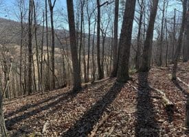 Lot 7 & 8 Hidden Ritters Valley, Capon Bridge, WV 26711