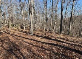 Lot 7 & 8 Hidden Ritters Valley, Capon Bridge, WV 26711