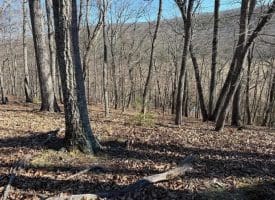 Lot 7 & 8 Hidden Ritters Valley, Capon Bridge, WV 26711