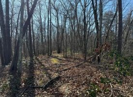 Lot 7 & 8 Hidden Ritters Valley, Capon Bridge, WV 26711