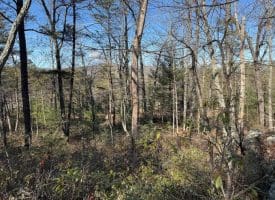 Lot 7 & 8 Hidden Ritters Valley, Capon Bridge, WV 26711