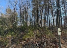 Lot 7 & 8 Hidden Ritters Valley, Capon Bridge, WV 26711