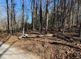 Lot 7 & 8 Hidden Ritters Valley, Capon Bridge, WV 26711