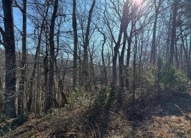 Lot 7 & 8 Hidden Ritters Valley, Capon Bridge, WV 26711