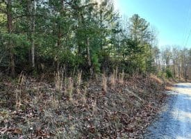 Lot 7 & 8 Hidden Ritters Valley, Capon Bridge, WV 26711