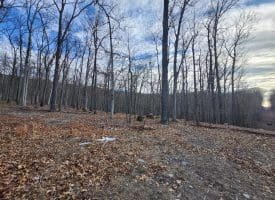 6376 SPRING GAP RD, SLANESVILLE, WV 25444