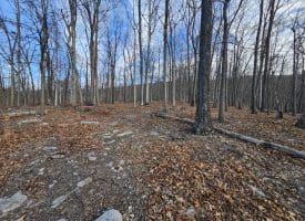 6376 SPRING GAP RD, SLANESVILLE, WV 25444