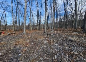 6376 SPRING GAP RD, SLANESVILLE, WV 25444