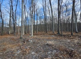 6376 SPRING GAP RD, SLANESVILLE, WV 25444