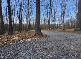 6376 SPRING GAP RD, SLANESVILLE, WV 25444