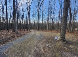 6376 SPRING GAP RD, SLANESVILLE, WV 25444