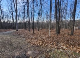 6376 SPRING GAP RD, SLANESVILLE, WV 25444