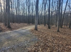 6376 SPRING GAP RD, SLANESVILLE, WV 25444