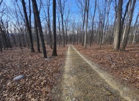 6376 SPRING GAP RD, SLANESVILLE, WV 25444