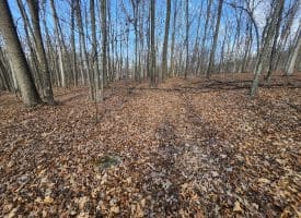 6376 SPRING GAP RD, SLANESVILLE, WV 25444