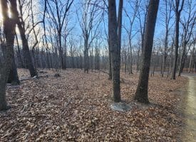 6376 SPRING GAP RD, SLANESVILLE, WV 25444