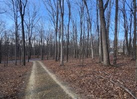 6376 SPRING GAP RD, SLANESVILLE, WV 25444