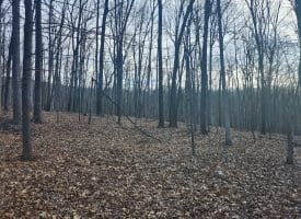 6376 SPRING GAP RD, SLANESVILLE, WV 25444