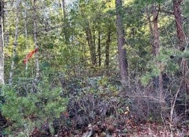 Lot 7 & 8 Hidden Ritters Valley, Capon Bridge, WV 26711