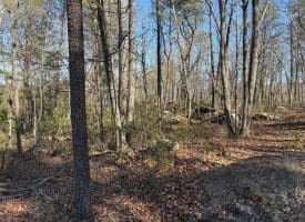 Lot 7 & 8 Hidden Ritters Valley, Capon Bridge, WV 26711